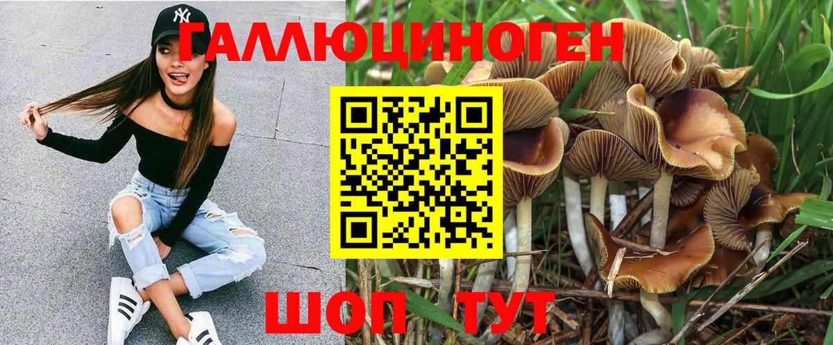 Псилоцибиновые грибы MAGIC MUSHROOMS  Вход с VPN  Псилоцибиновые грибы Psilocybine cubensis  Унеча 